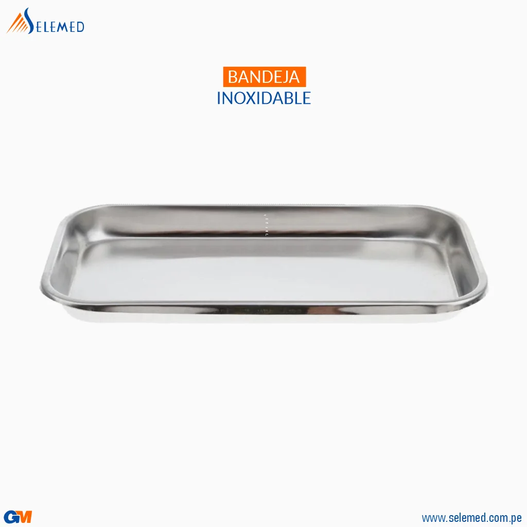 WebP-GAL-Bandeja-Inoxidable-1024×10204-1